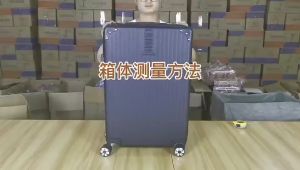 20\"/24\"/28\"/30\" Transparent Protective Dust Suitcase Cover: Waterproof & Scratch Proof