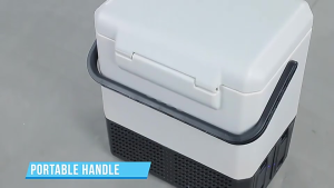 Alpicool fridge Car Refrigerator 8L/15L/22L Outdoor Portable Camping Refrigerator 冰箱 12V24V Dual-use 车载冰箱 家车两用