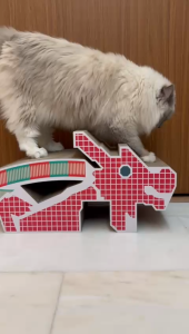 Cat Scratcher Exclusive Design Dragon Playground Cat Scratcher