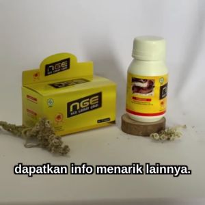 NGE Neo gamat Emas 77 kapsul: Solusi Kesehatan dan Kecantikan