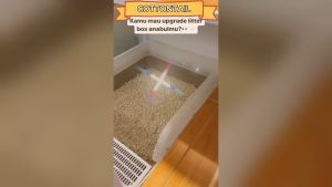 Arthacat Spacious Litter Box Tempat Bak Toilet Pasir Kucing Besar