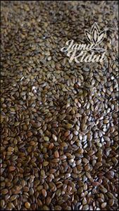 Petai Cina 1kg Kering atau Biji Lamtoro Bersih dan Organik