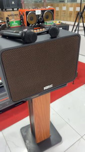 Loa xách tay ACNOS CS250Pro loa karaoke di động CS250 Pro Hàng chính hãng Soncamedia