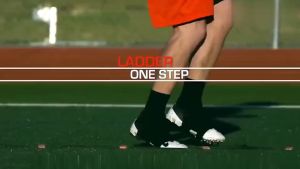 JIOYANG- Agility Speed Ladder 4/6/8 Meter / Tangga Tali Nilon / Latihan Atlit Tangkas