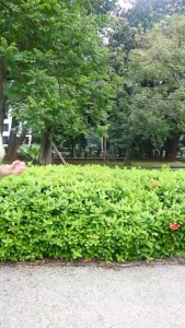 LUXCRIME Instant Cover Hydralight Concealer 4.8gr | Full Coverage