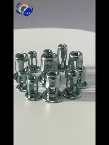 Jack Nuts Kit - Petal Rivet Lock Nuts with Screws Plate Hollow Wall Metal Panel Expansion Clamp Bolts Car Fixing Hardware