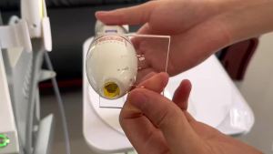 7D Mini HIFU Siêu Âm Máy Mát Xa Nâng Cơ Mặt Chống Lão Hóa Làm Săn Chắc Da Xóa Nếp Nhăn Chăm Sóc Mắt Thiết Bị Làm Đẹp Cho Gia Đình SPA