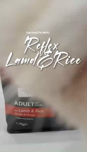 tổng hợp thức ăn hạt mèo từ hãng Reflex ( thỗ nhĩ kì) dòng Plus 15kg - T3 PETS SHOP