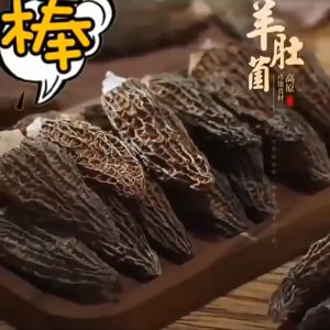 Nấm Bụng Dê Thượng Hạng Vân Nam 45Gr- Nấm Morel - Đặc Sản Nấm Vân Nam 45Gr - 云南特产天然厚肉羊肚菌干货250克