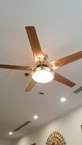 Quạt Trần Lõi Đồng INERTER Nhiều Lựa Chọn MàuCó 6 Cấp Độ Gió 3 Chế Độ Đèn LED động cơ DC tiết kiệm điện có điều khiển từ xa