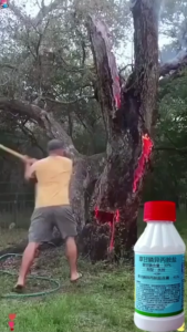 ✨1 setitik akar busuk✨ racun pokok paling kuat tree killer Racun rumput paling kuat cepat mati Formula pekat racun pokok kayu besar Long-lasting effect weed control Removing big trees and bamboo racun rumput mati akar 200ml 除草剂