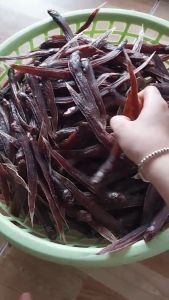 Khô Cá Kèo Biển Đỏ Đặc Sản Cà Mau Ít Có Theo Mùa- ĐẶC SẢN MINH TRIẾT