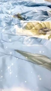 🔴GIẢM SỐC🔴 Trọn Bộ Ga Gối Tencel Than Hoạt Tính Kháng Khuẩn Mềm Mát Thấm Hút Tốt Bộ 4 và 5 Món Gồm Chăn Chần Bông _ Nemtot Bedding