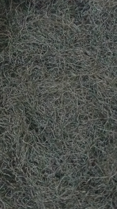 发菜 20g Fa cai 可食用正发菜 煮斋菜 无染色