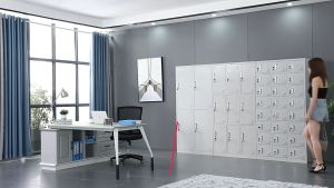 Optimize Your Workspace: Iron & Steel File Cabinets & Lockable Wardrobes