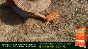 Greenfeed Slow Release Fertilizer 1KG (13:10:22:2 + TE) / Baja Khas Pokok Durian & Kelapa Sawit Lengkap / Mature Durian & Oil Palm Special Fertilizer