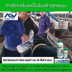 จุลินทรีย์ บีเอส เบลนด์ (BS BLEND) ขนาด 1000 มล. บำบัดกลิ่น ย่อยสลายของเสีย กำจัดกลิ่นเหม็น กำจัดหนอนลดแมลงวัน, ราคา 150-200 บาท