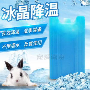 Rabbit Cooling Ice Box Pet Rabbit Hamster Totoro Guinea Pig Ice Crystal Ice Pack Ice Bed Heating Pane Summer Cooling