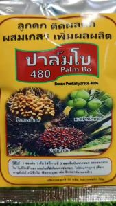 ติดดอก ผสมเกสร ติดผล ลูกดก ผลดก อินทผาลัม มะพร้าว พืชตระกูลปาล์ม ปาล์มน้ำมัน ให้มีดอก ออกลูก ปาล์มโบ ขนาด30กรัม ต่อต้น