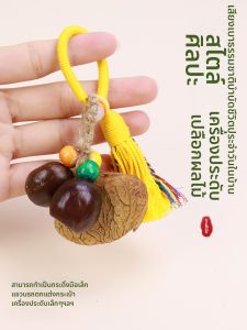 Natural Shell Craft Kit DIY