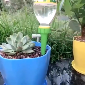 100PCS Plant Waterer Self Watering Spikes System Water Seepage Dripper with Adjustable Vavle Switch Self Watering Spikes with Valve For Plants Flower Indoor Household Bottle Automatic Dripper