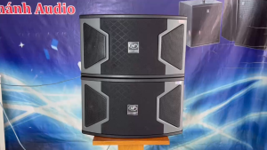 LOA NẰM TREO TƯỜNG BASS 25 (GIÁ 1 CẶP ) KS 310 CHUYÊN HÁT KARAOKE VÀ NGHE NHẠC VIP - HẢI TRIỀU