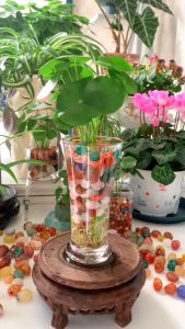 100 gram Đá Vụn Mã Não Tự Nhiên PAG - Vụn Đá Thanh Tẩy - Trang Trí Nhà Cửa