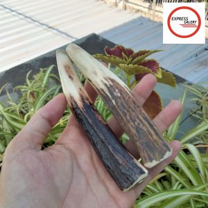 kerajinan once tanduk RS asli B5