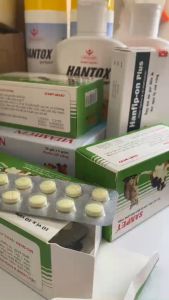 Viên tẩy giun tròn ký sinh sán hạt dưa sán - giun - lãi Hanvet SanPet cho chó meo heo - 1 hộp 100 viên (Sỉ)