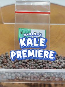 Benih Kale Premier Unggulan Berkualitas bibit biji repack kel kubis daun keriting hidroponik hydroponik