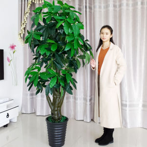 Indoor Large Artificial Lucky Tree Flower Decorative Plastic Potted Plant Living Room Floor Standing Green Plant Simplicity