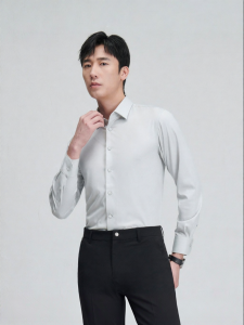 Modal Spring Business Formal Shirt
