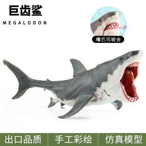 Realistic Solid Prehistoric Great White Shark Monster Toy Model Ocean Animal Doll for Children Gift Interactive Touch Sensory Toy
