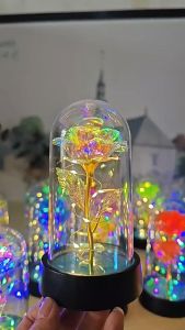 Ruangan Kamar Glass Lampu LED Bunga Mawar Dekorasi Beauty And The Beast Rose | Hampers Pajangan Kado Hiasan