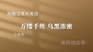5gx 50sachets Five Black Tea 五黑茶 250G Black Rice Black Bean Mulberry Black Wolfberry Black Sesame Combination Teabag