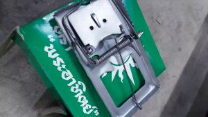 ที่ดักหนู กับดักหนูแบบสปริงใช้สำหรับดักจับหนู มีความแข็งแรง สามารถนำกลับมาใช้ซ้ำได้