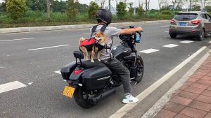 กระเป๋าใส่สัตว์เลี้ยงแบบพกพากระเป๋ากระเป๋าสะพายสุนัขใส่การปั่นจักรยานกลางแจ้งกระเป๋าสำหรับเดินป่าตั้งแคมป์เดินทางปรับได้