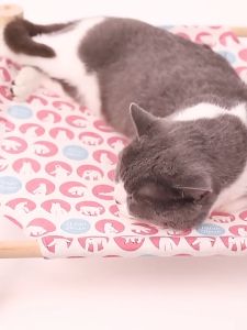 ที่นอนแมว เปลแมว เตียงแมว ประกอบง่าย พกพาสะดวก ใช้พื้นที่ไม่เยอะ แข็งแรง รับน้ำหนักได้เยอะ Summer Cooling Relaxing Hammock Pet Bed Washable Cooling