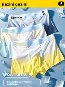 JIAZINI | Ice Silk Briefs Mens Summer Thin Antibacterial Breathable 2025 New Seamless Male Style Boxer Shorts Flat Angle Youth Underwear