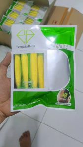 COD isi 1750 Biji Bibit Benih Jagung Manis GULAKU 250gram BIG001