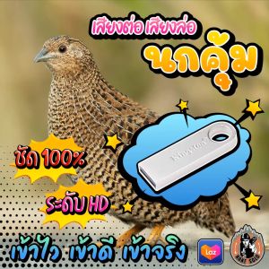 เสียงต่อนกคุ้ม เสียงล่อนกคุ้ม แฟลชไดร์ฟเสียงนกคุ้ม ชัด เสียงใส ไม่มีโฆษณาแทรก พร้อมส่ง! มีเก็บเงินปลายทาง