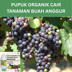 Pupuk Buah Anggur 250 ML /Pupuk Booster Anggur Cepat Berbuah Lebat/Pupuk Cair Anggur