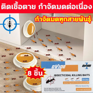 ✅มดตายยกรัง✅กำจัดมด ยาฆ่ามด เหยื่อมด เจลกำจัดมด 10 ชิ้น/กล่อง ล่อมดทุกชนิดได้อย่างง่ายดาย เพียงแปะเบา สามารถฆ่ามดได้ทุกมุม ปลอดภัยต่อคนและสัตว์เลี้ยง ยากำจัดมด ฆ่ามดตายยกรัง เหยื่อกำจัดมด ยาไล่มดในบ้าน เจลไล่มด เจลฆ่ามดยกรัง ant killer