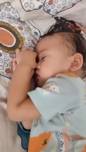 TRESNO JOYO Telon Herbal Plus 60ml / 100ml - Ori | Citronella | Lavender | Orange - Minyak Telon