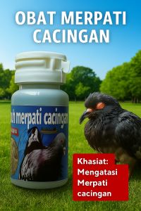 OBAT MERPATI CACINGAN ISI 100 DAN 50 BUTIR PALING AMPUH MEMBERANTAS SEMUA CACING extrax rempah rempah herbal alami