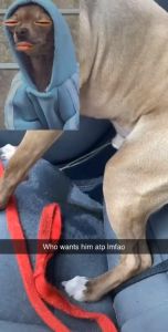 Onemed Perlak Underpad For Pet 60 x 60 Per Pack isi 10 pcs