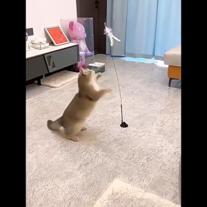 Floor-Mounted Cat Teaser Toy With Feather Bell and Suction Cup Cat Stick Rod Funny Interactive Toy Replaceable Feather