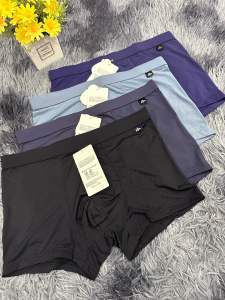 Quần sịp đùi nam thun lạnh thông hơi thoáng khí mát mịn. Mã 215