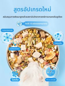 BUCATSTATE | Nutritious Hamster Food Teeth Grinding Treats