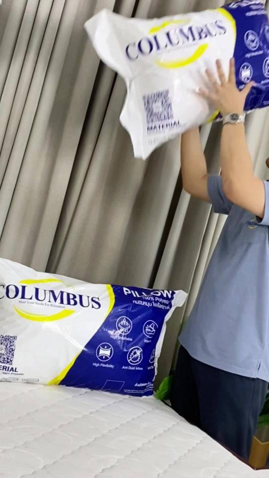 [1แถม1]หมอนหนุน แพ็คคู่ (2ใบ)  COLUMBUS เส้นใยสังเคราะห์ ใยฟู นุ่มสบาย เกรดโรงแรม เพื่อสุขภาพ ขนาด 19x29 นิ้ว เนื้อผ้าไมโครไฟเบอร์ กันไรฝุ่น